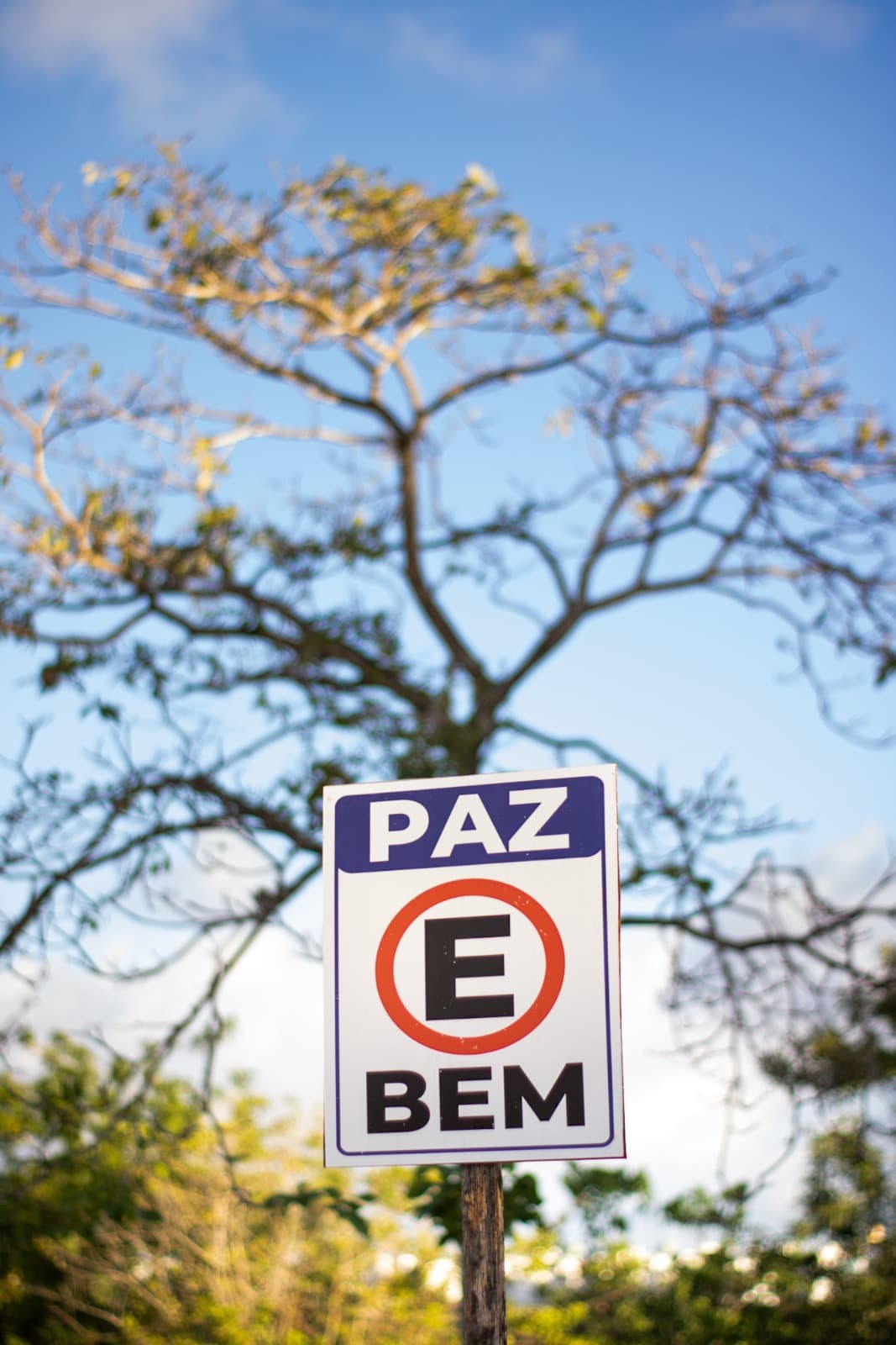 Vigília Jovem Doce Mãe de Deus
